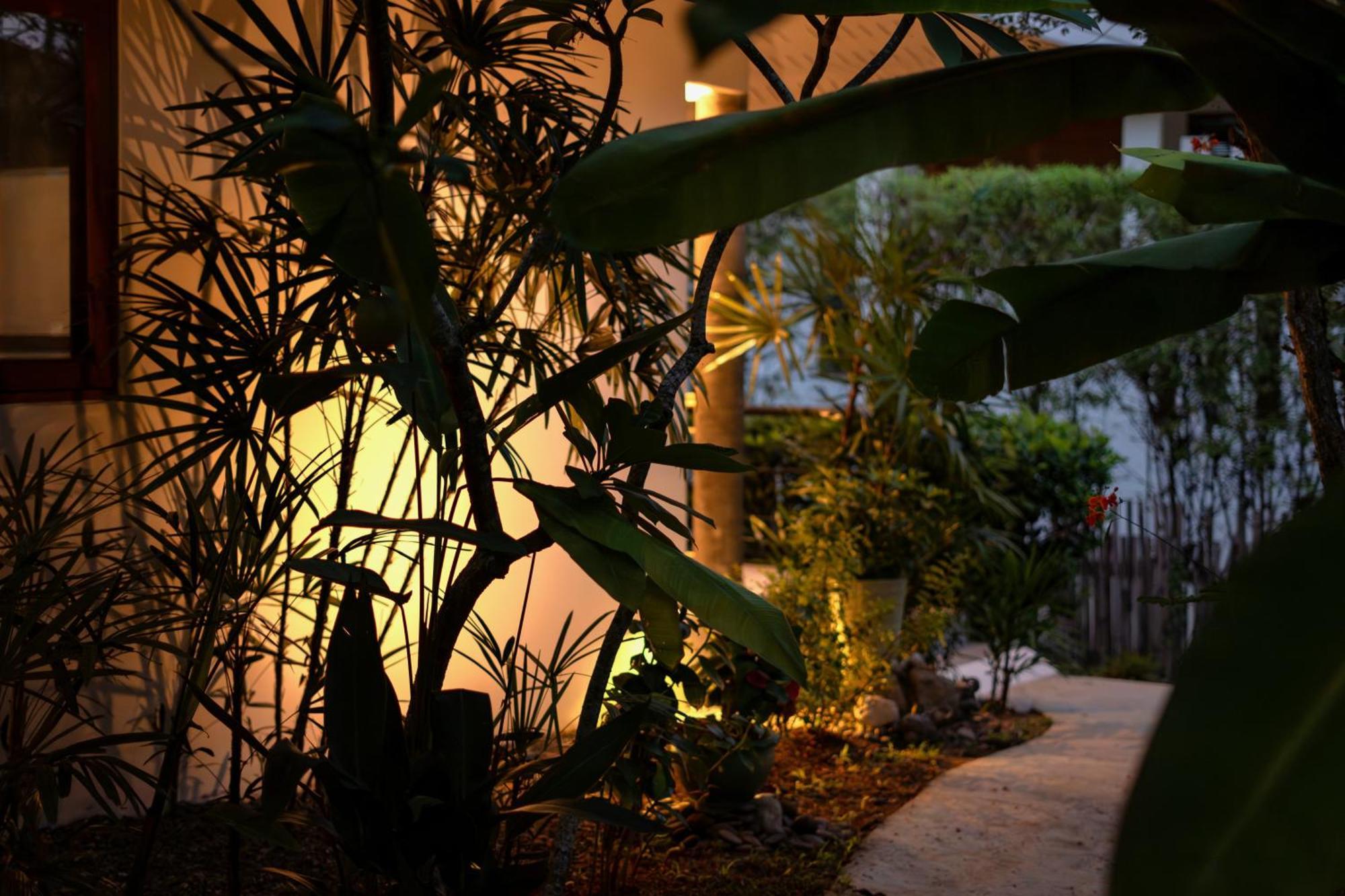 Orchid Lodge Samui - Bed & Breakfast Lamai Beach  Cameră foto